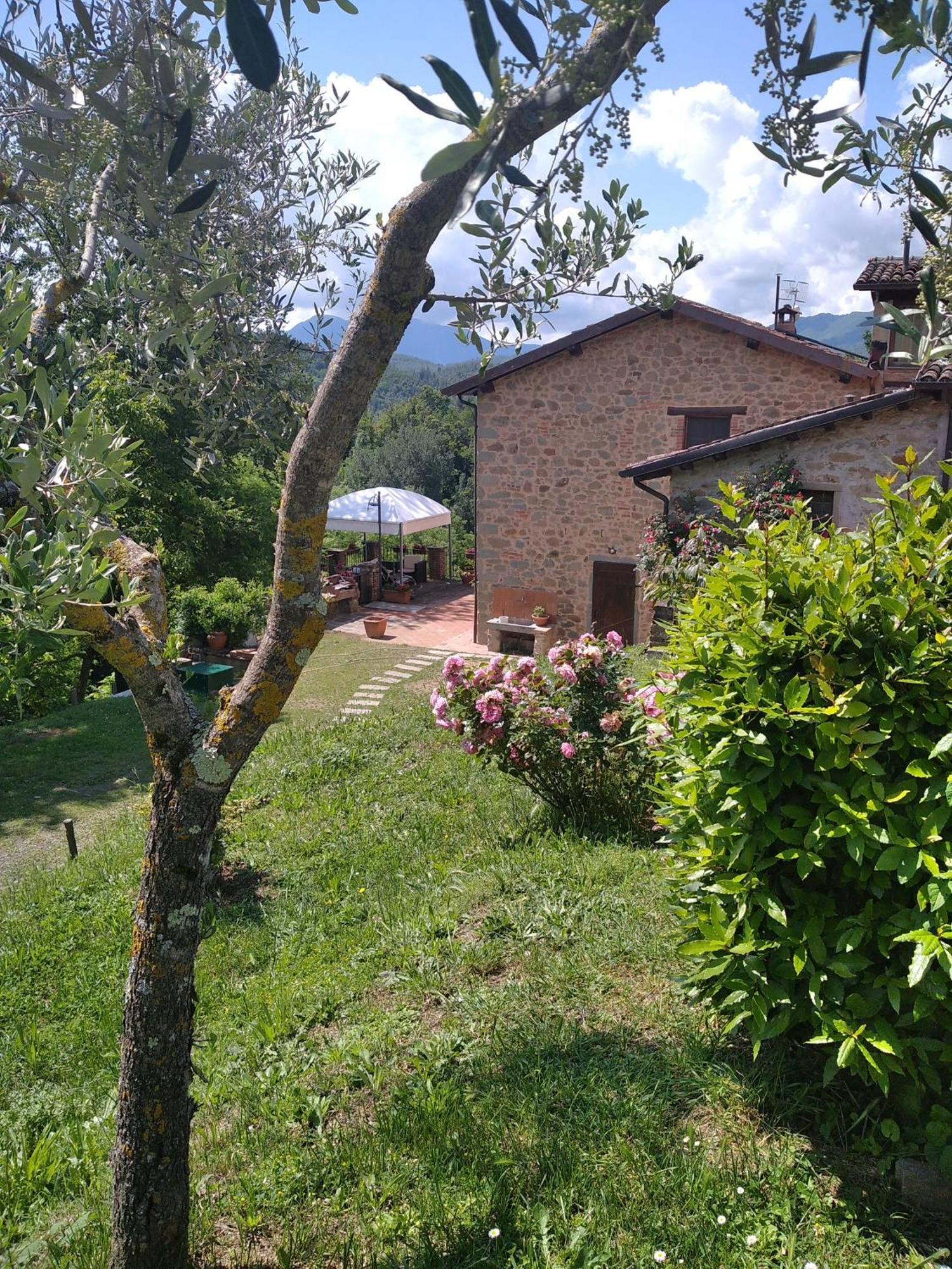 Villa Belvedere Pieve Fosciana Ngoại thất bức ảnh